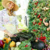exotic_vegetable-collection_2.jpg (68795 bytes)
