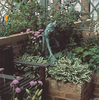 Courtyard Garden