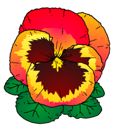 Pansy(1).gif (21671 bytes)