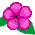 chinaros2.gif (3633 bytes)