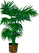 dl_tree18.gif (6813 bytes)