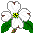 dogwood1m.gif (1210 bytes)