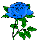 flower11a.gif (4059 bytes)