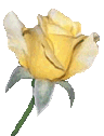 gg_yellowbud.gif (5732 bytes)