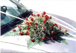 hudai roses 2.jpg (179047 bytes)