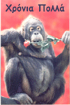 monkey card 2.gif (70983 bytes)