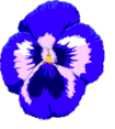 pansy.gif (3445 bytes)