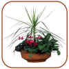 plantbasket006-mid.jpg (8959 bytes)
