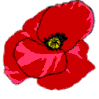 poppy.gif (2742 bytes)