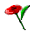 roseicon22.gif (1150 bytes)