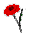 roseicon9.gif (1113 bytes)