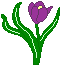 springclip12.gif (1426 bytes)