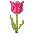 tulip2m.gif (1081 bytes)