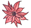 xflower.gif (5891 bytes)