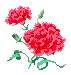 zia_carnation.gif (932 bytes)